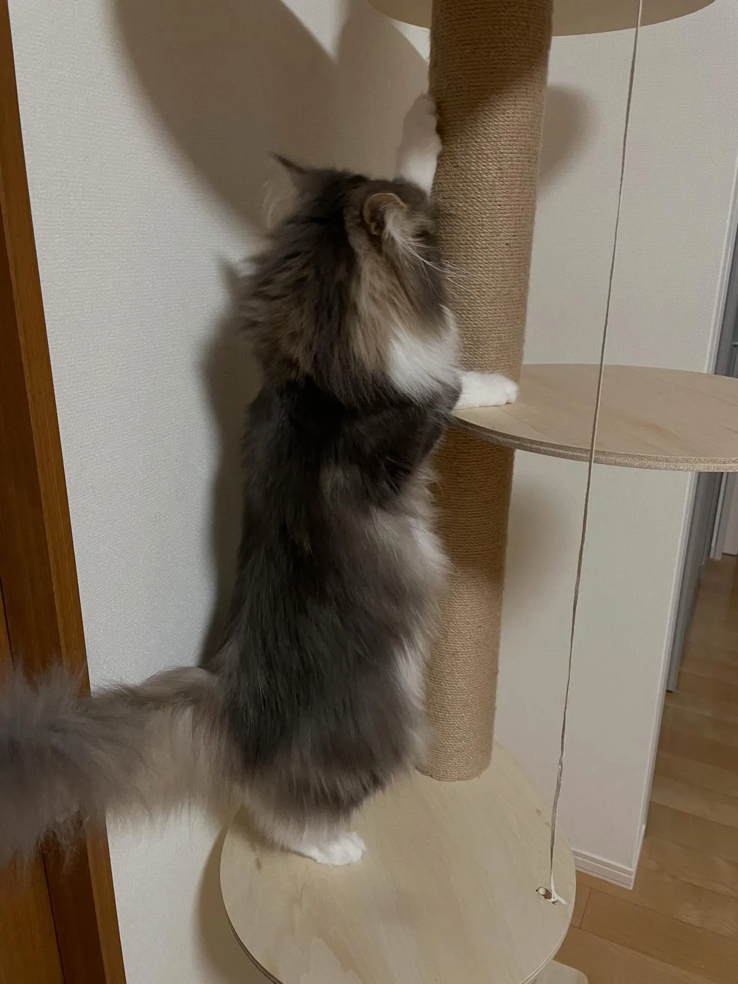 朝イチで銀行、2件の相続手続きをお願いして、事務所に戻ってか...