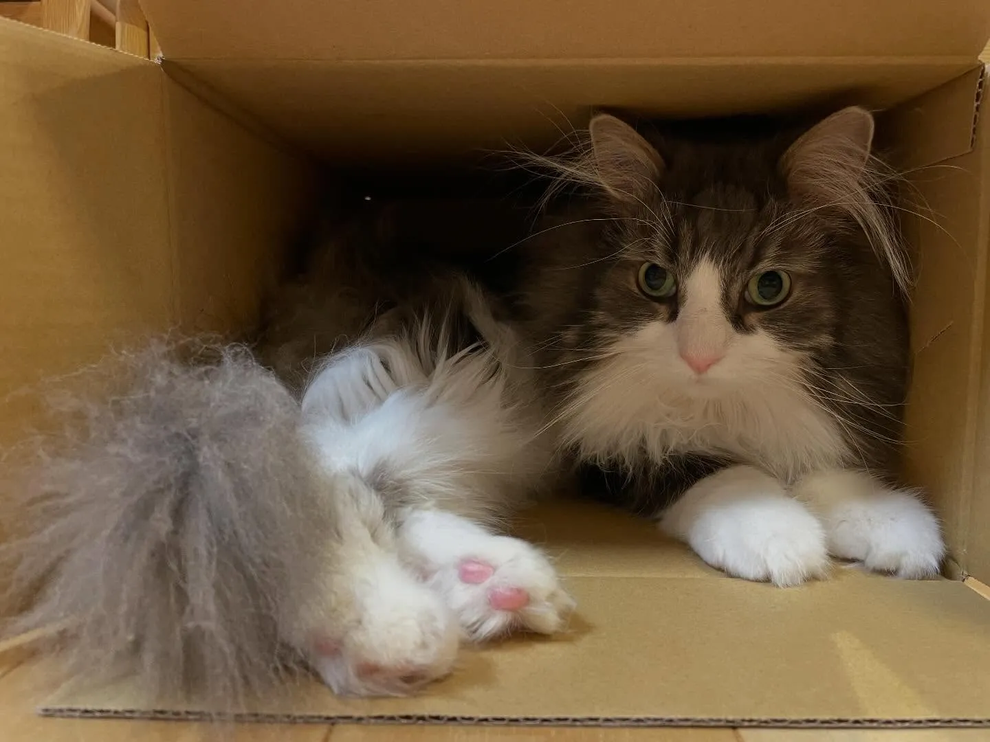 朝、数件の連絡の後で銀行を3件回って相続手続きを依頼、お昼を...