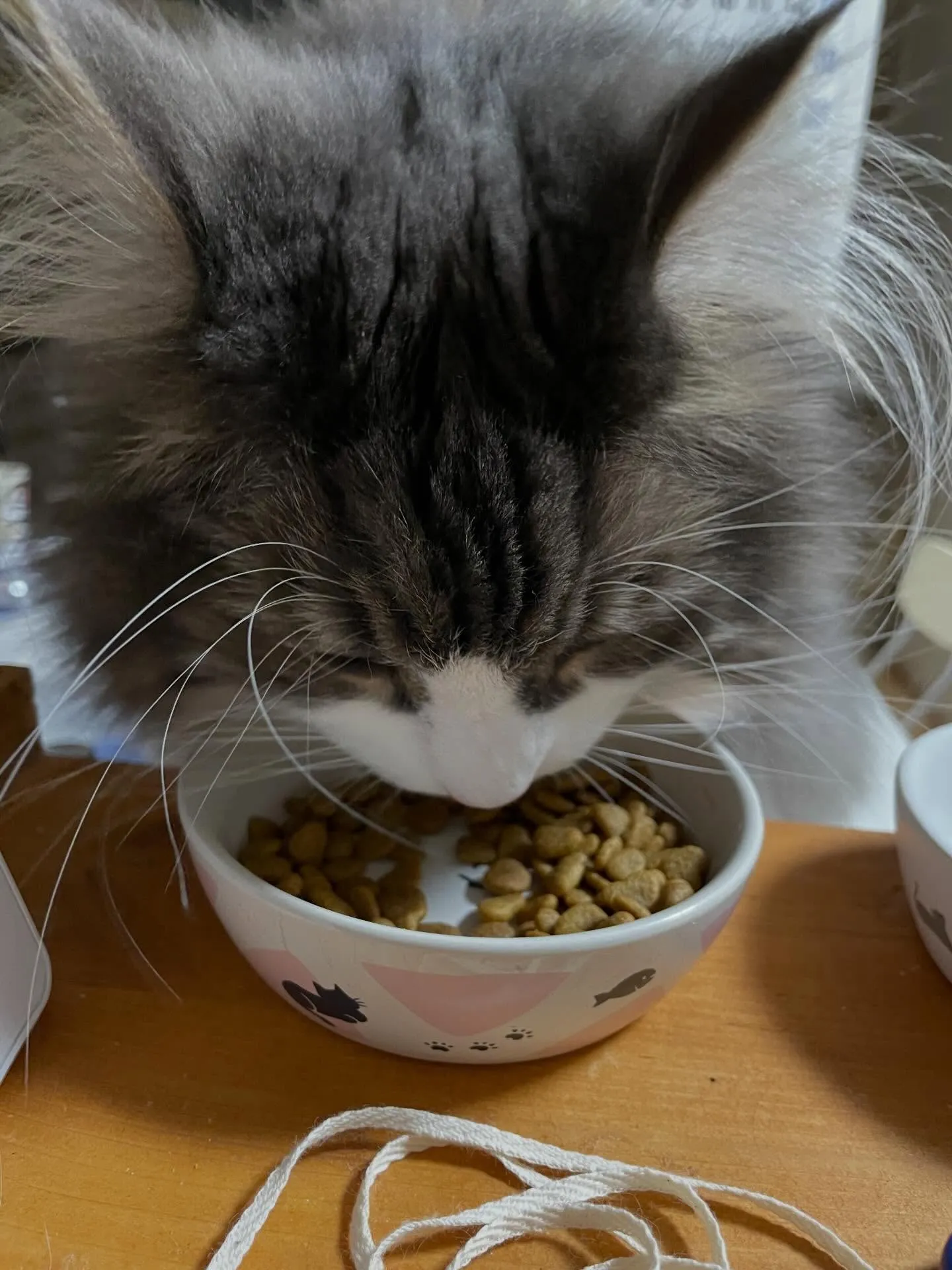 今日の午前中は、公正証書遺言の作成でお客様の送り迎えなど、午...