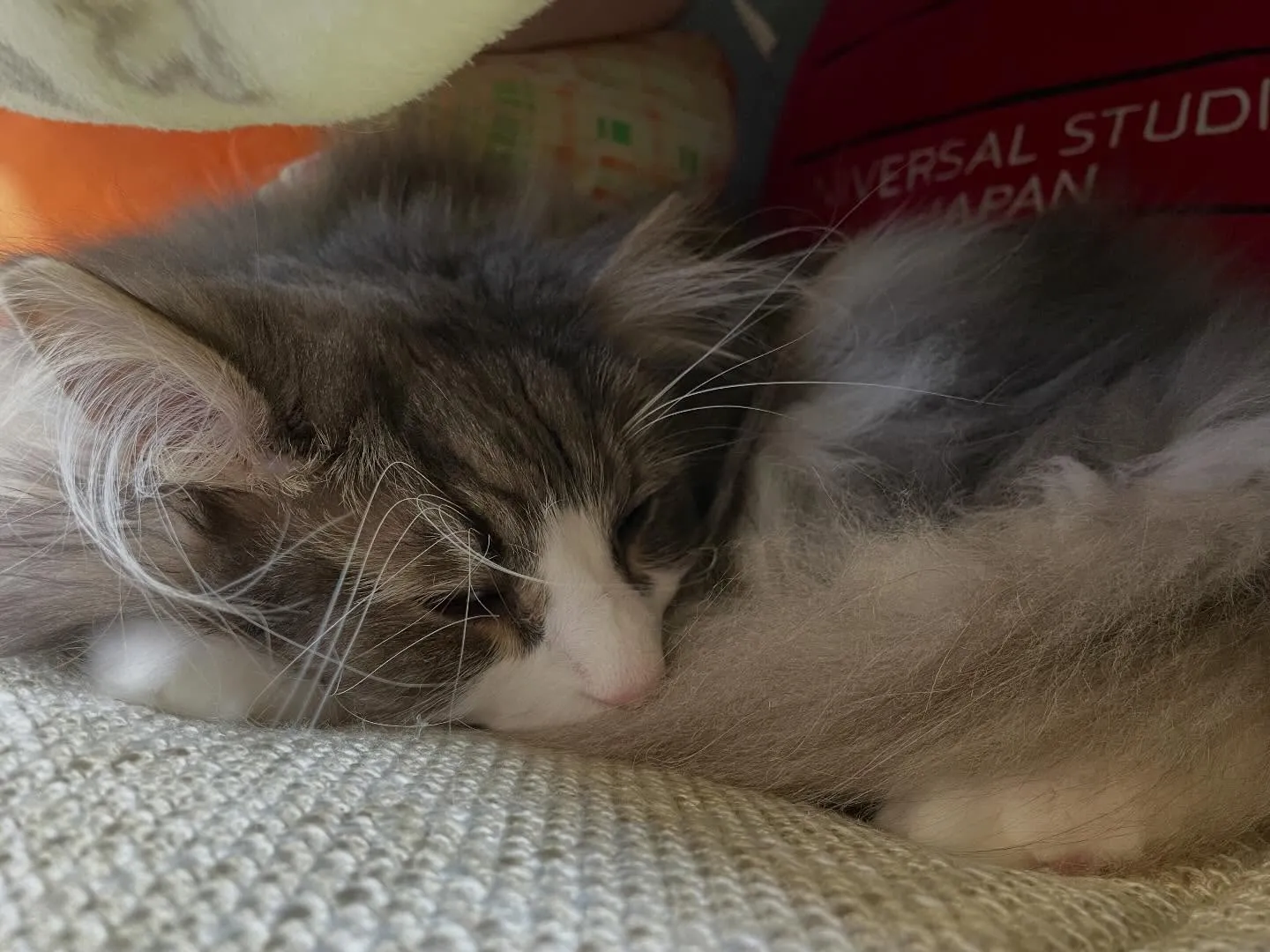 今日も朝イチで、お世話になった葬儀社様を訪問、続いてもう一件...