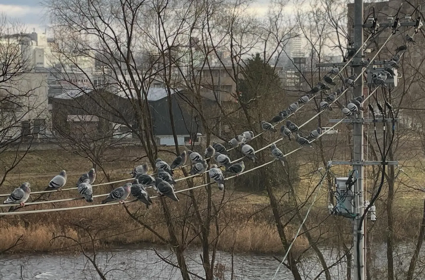 銀行が空いている最終日、朝から5件の銀行を回って相続手続き、...