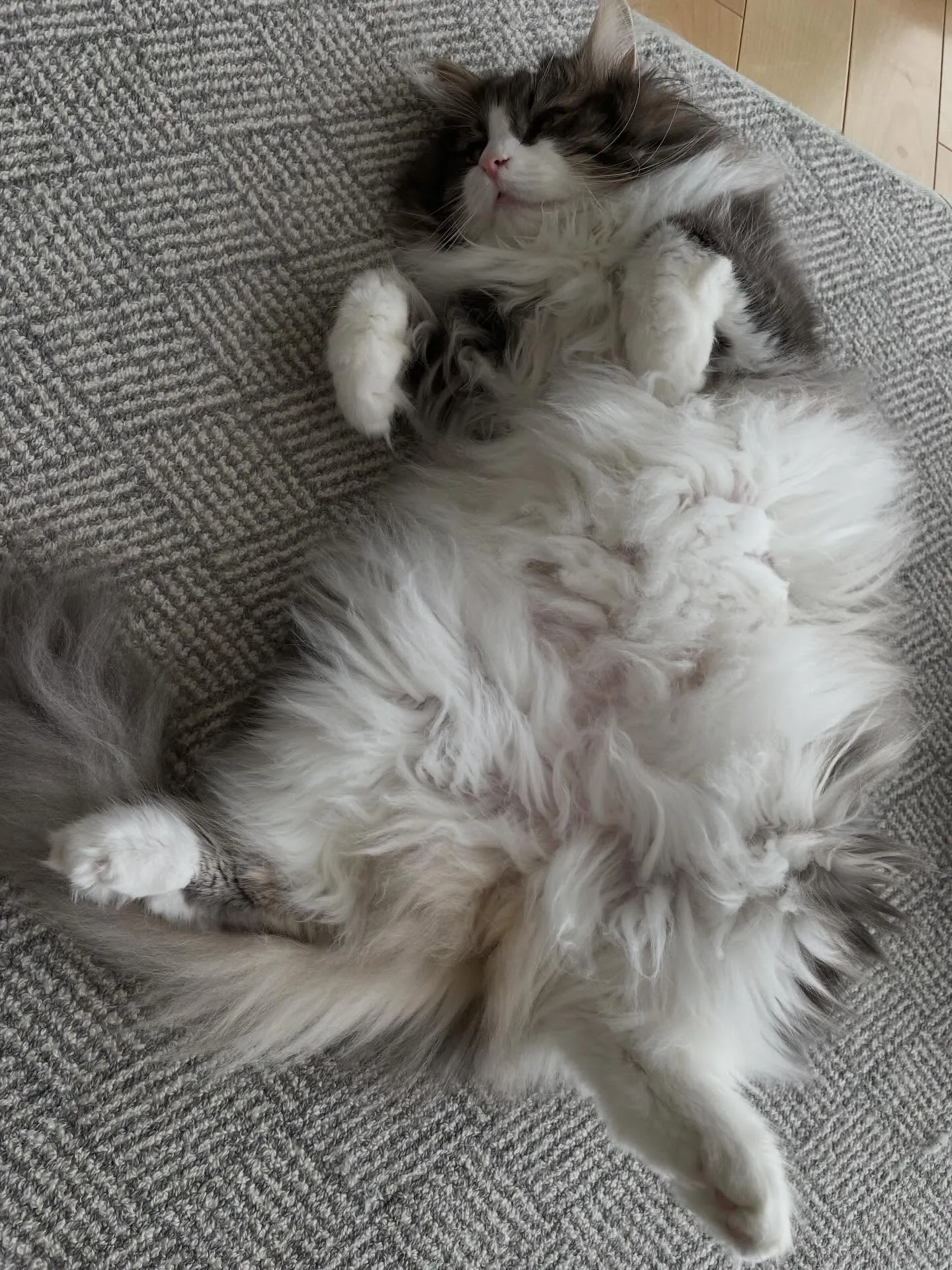 今日は朝イチでゆうちょの相続手続き、急いで事務所に戻ってから...