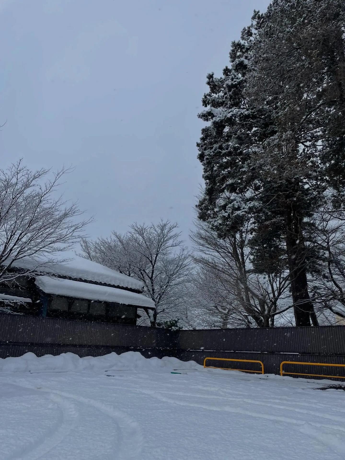 今日、朝から書類作成をちょっとした後、相続手続きが終わったお...