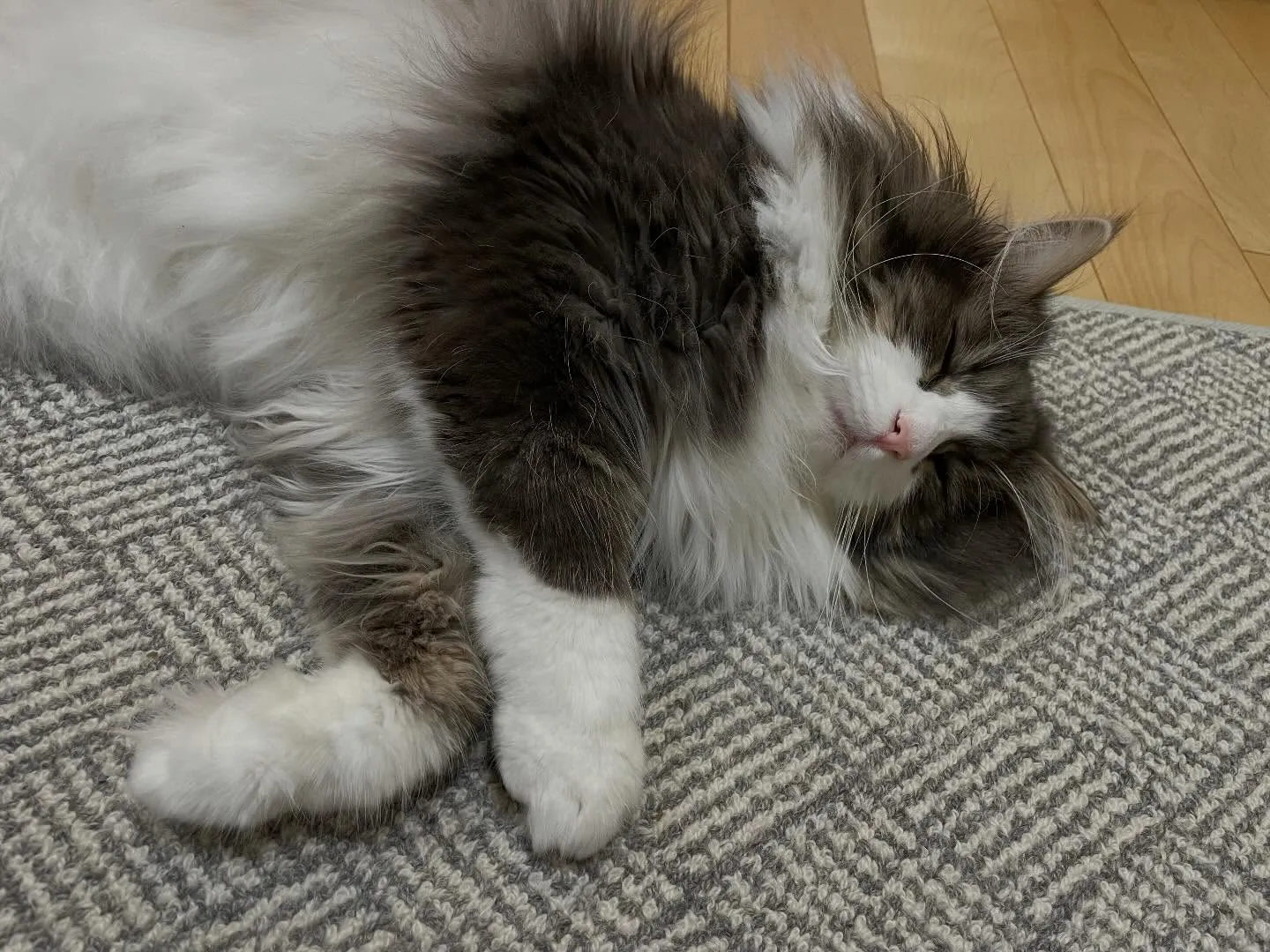 今日、朝イチで銀行やお客様へ何件かご連絡の後、加除式の営業さ...