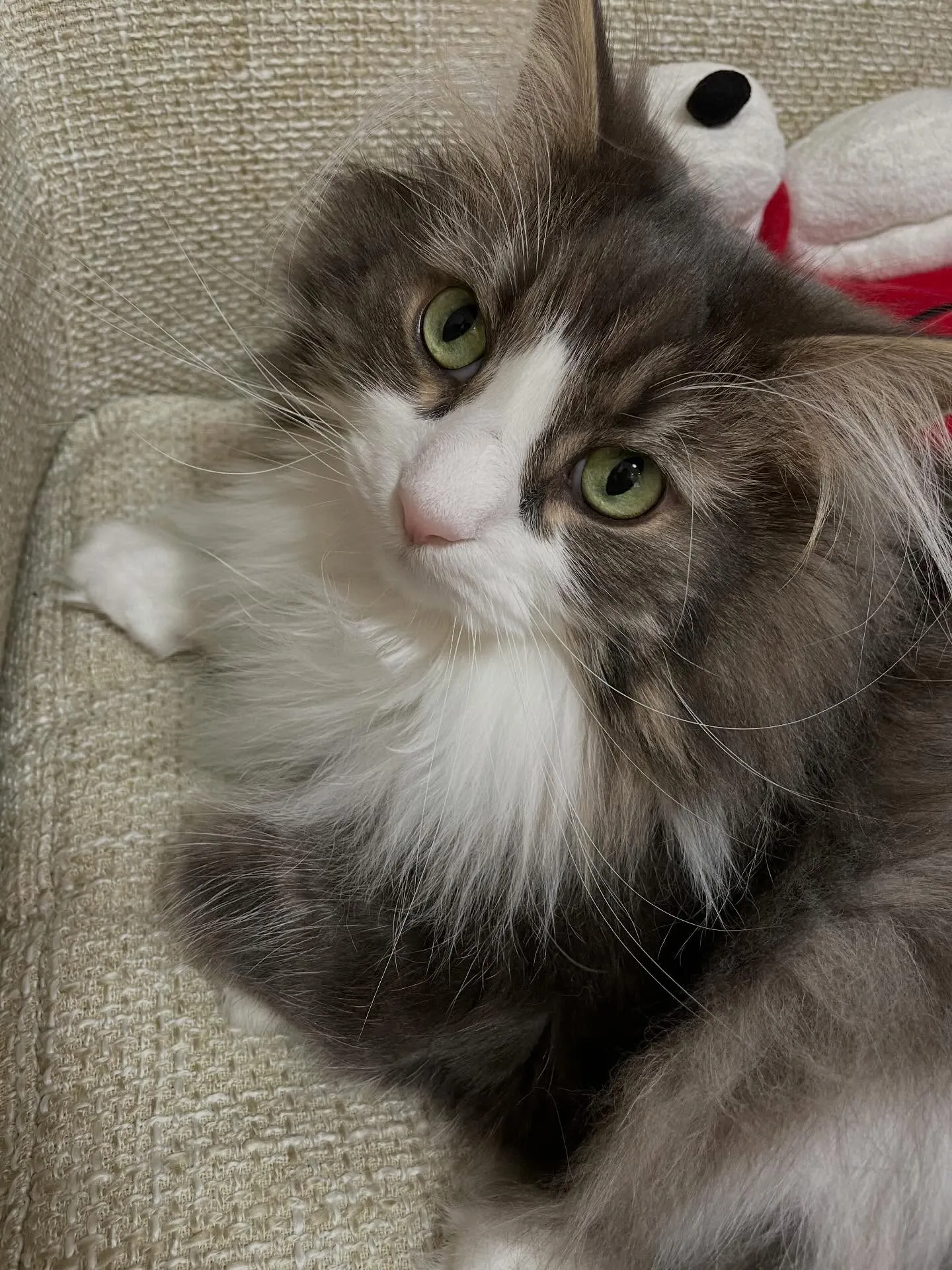 今日の午前中は、ネット経由でご予約頂いたお客様と遺言書の相談...