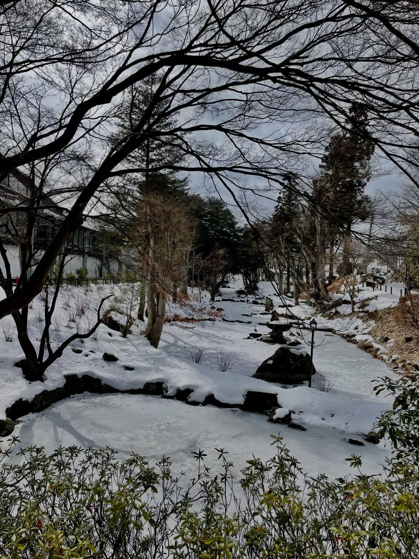 今日は朝から金融機関巡りで、４つの銀行に行って延べ６件の手続...