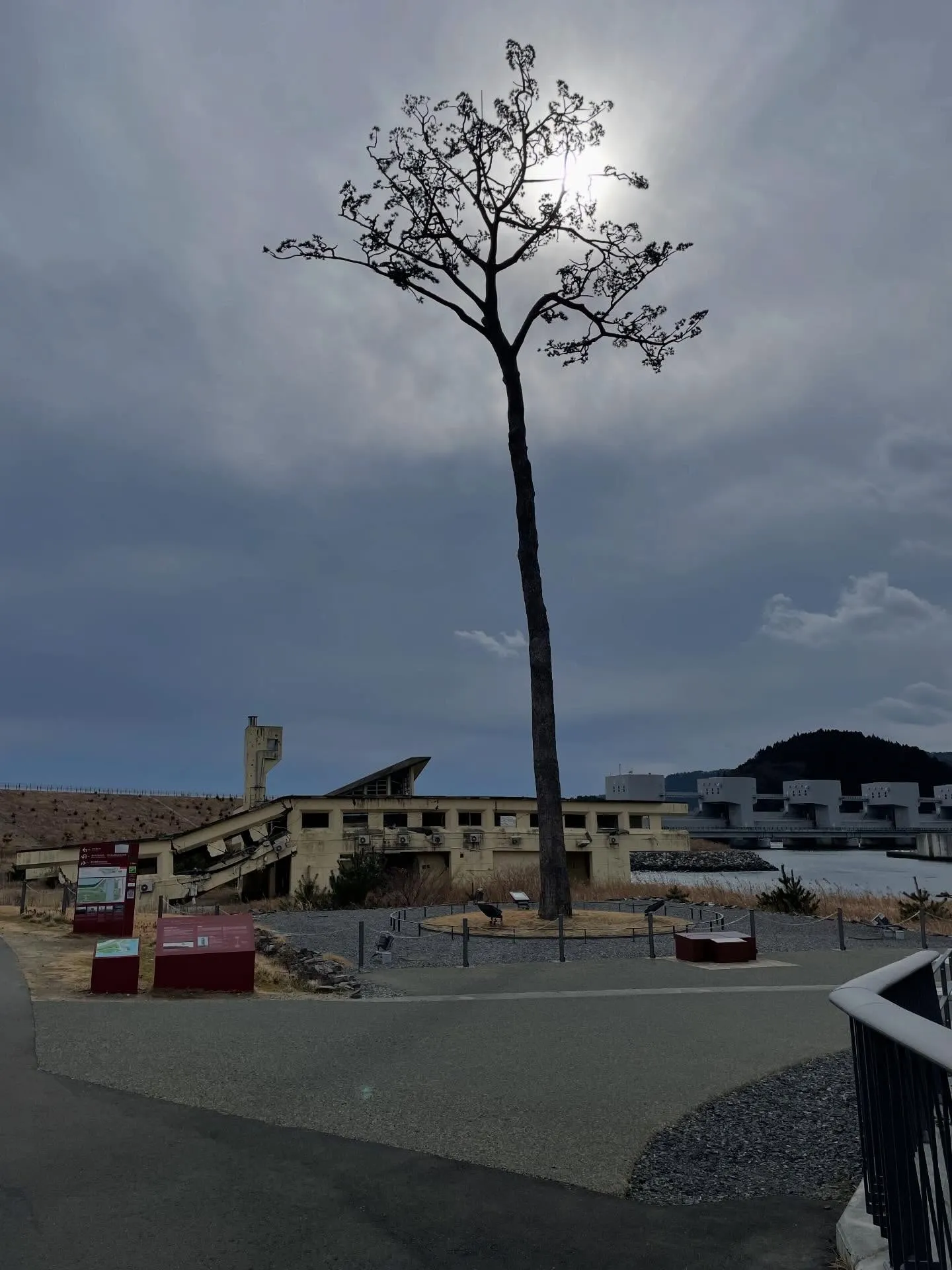 少しだけドライブへ。