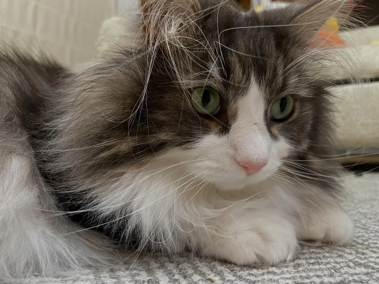 今日は朝イチでお客様宅を訪問、手続きが終わったので領収証をお...