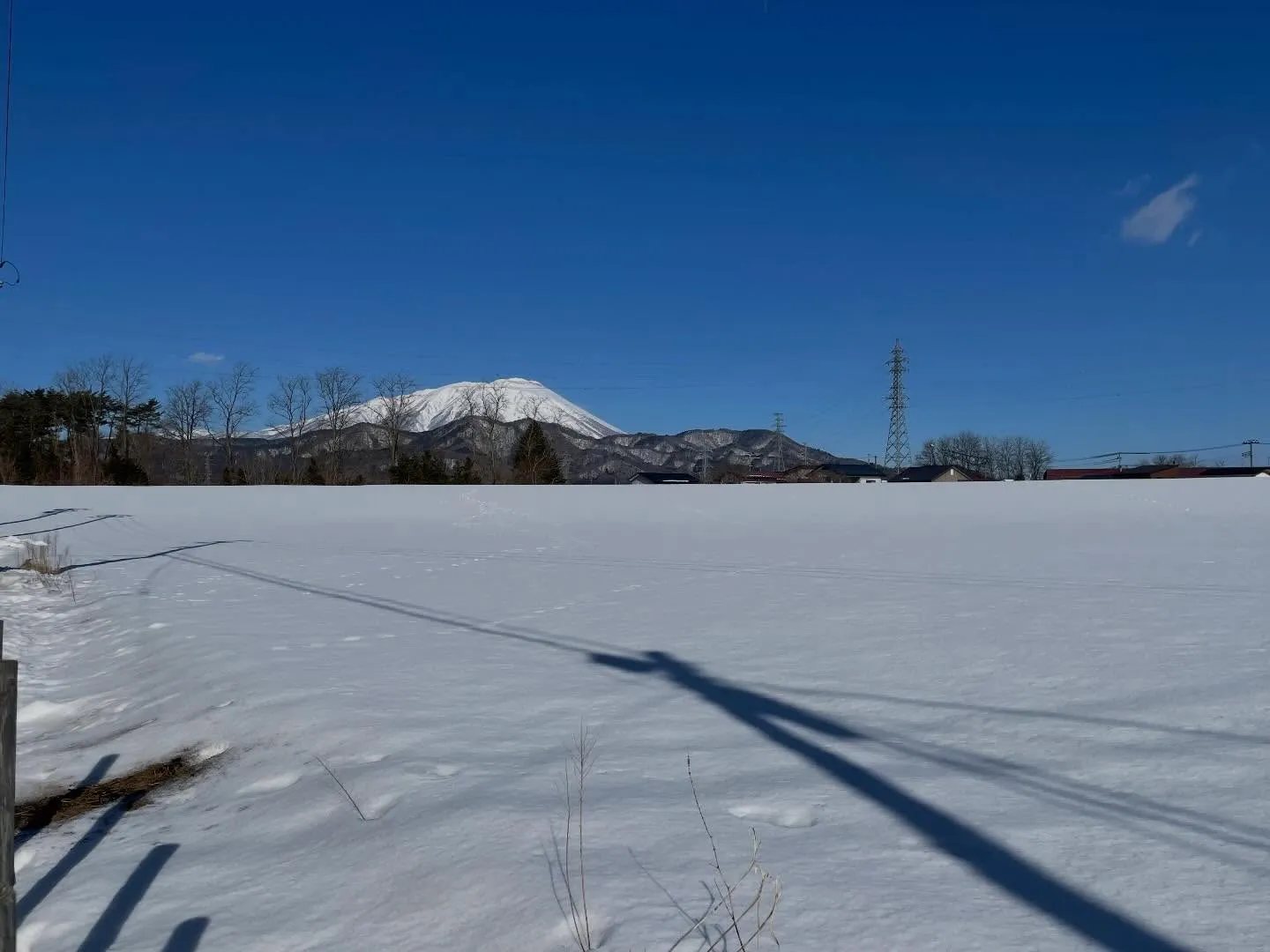 今日の午前中、事務所の会計とかの相談で、初めての税理士事務所...