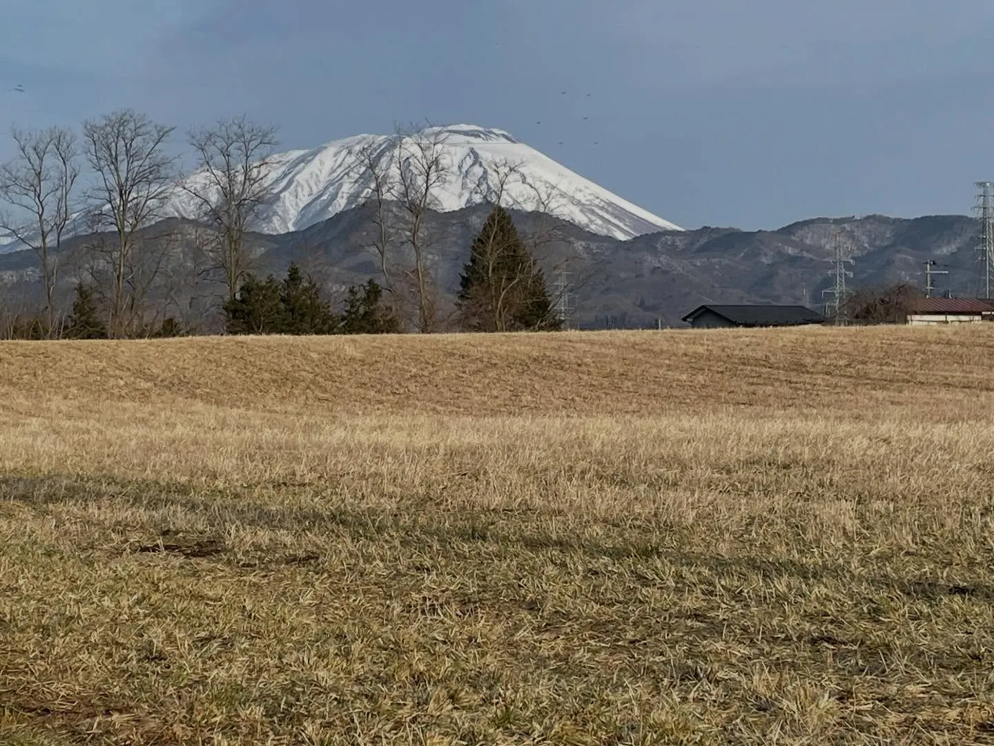 今日、午前中だけ事務所に出て、書類の整理や、戸籍を調べて初め...