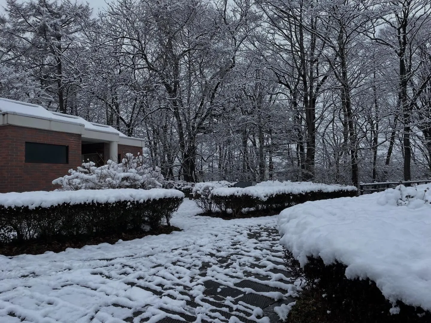 今日も朝イチで銀行に行って残高証明書の発行を依頼してから事務...