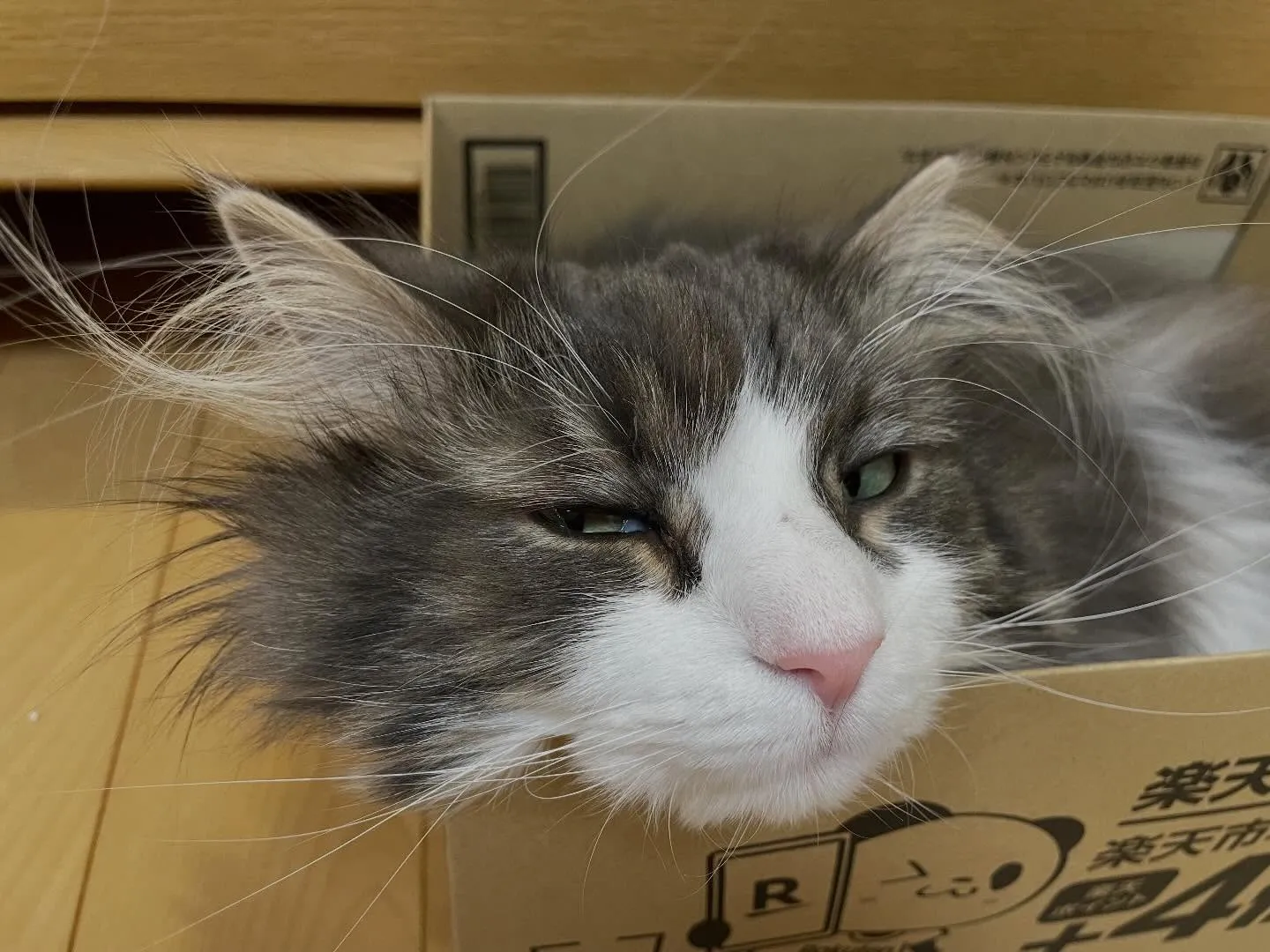 今日、電話で相続についての相談の予約が一件あって、再来週にご...