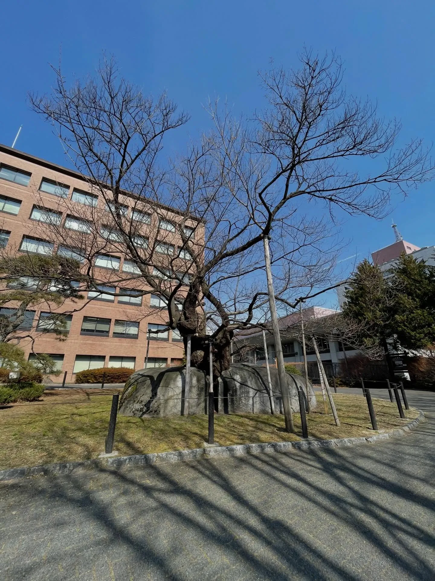 今日は午前中に成年後見や遺言のご相談の面談と、電話で非保佐人...