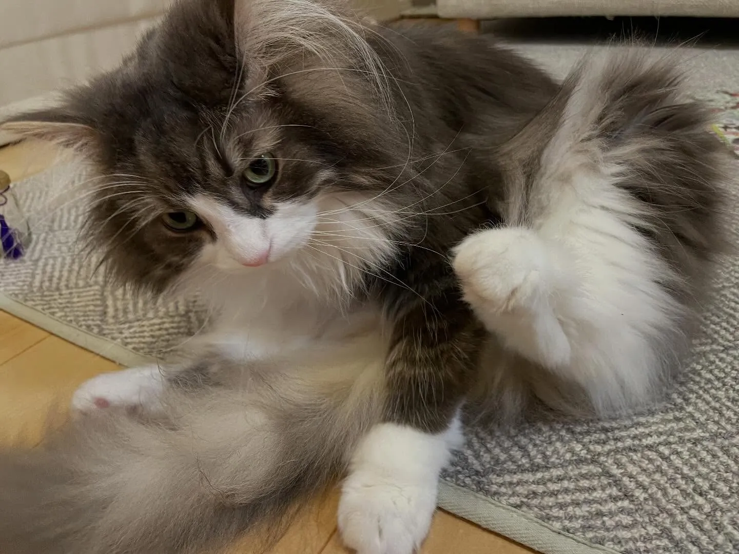 今日は午後からご相談という事で、隣町のお客様宅を訪問、諸々の...