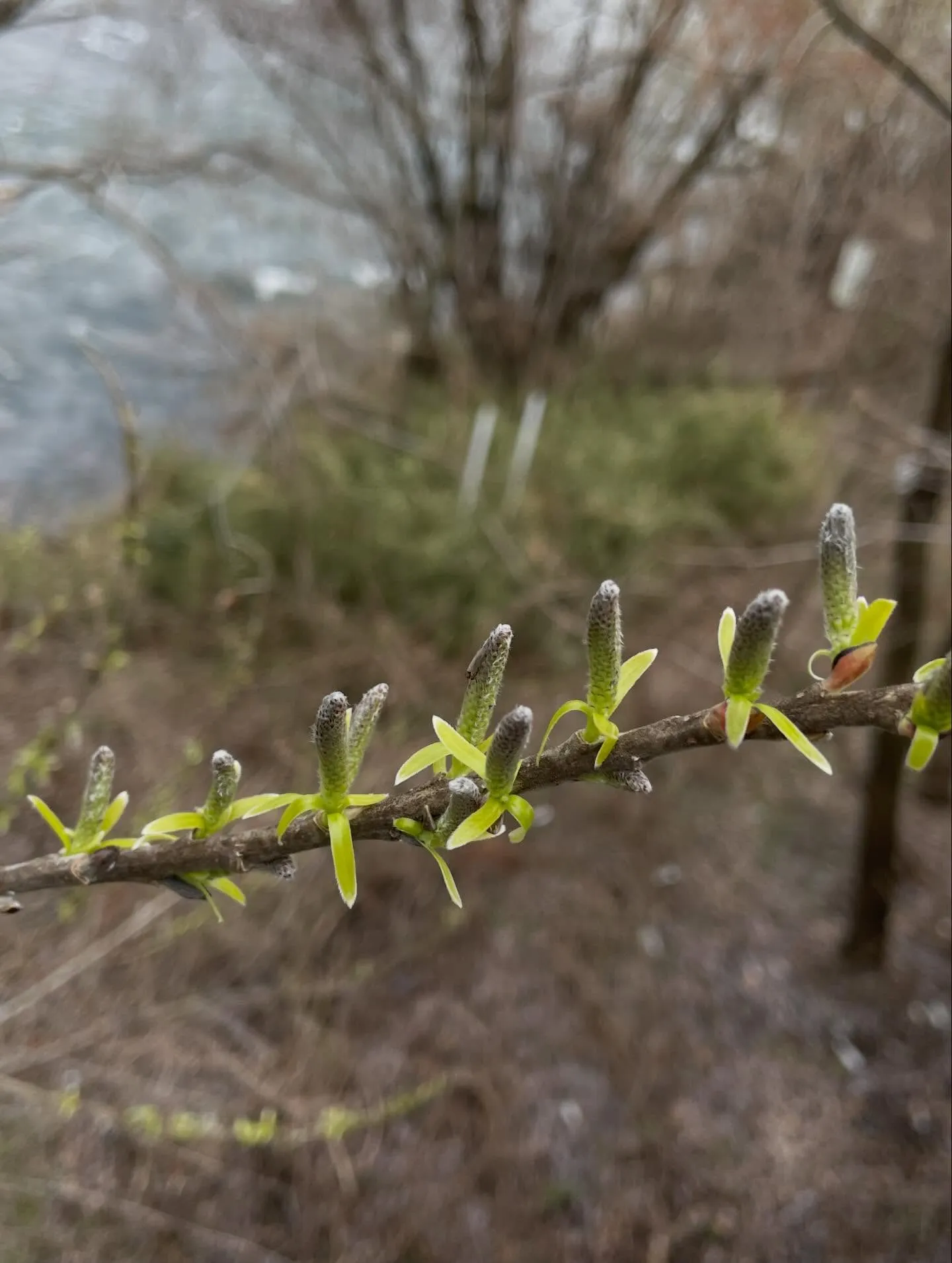 今日の朝イチで農業委員会を訪問して届出を提出、すぐにお客様宅...