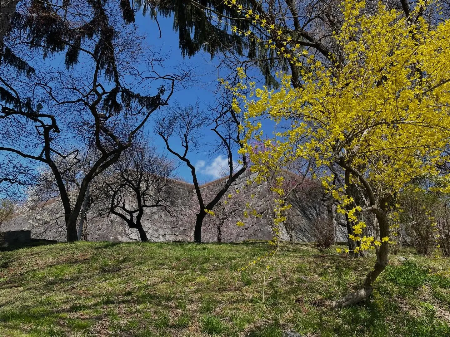 今日の午前中、お世話になっている超老舗の葬儀社さまを訪問して...