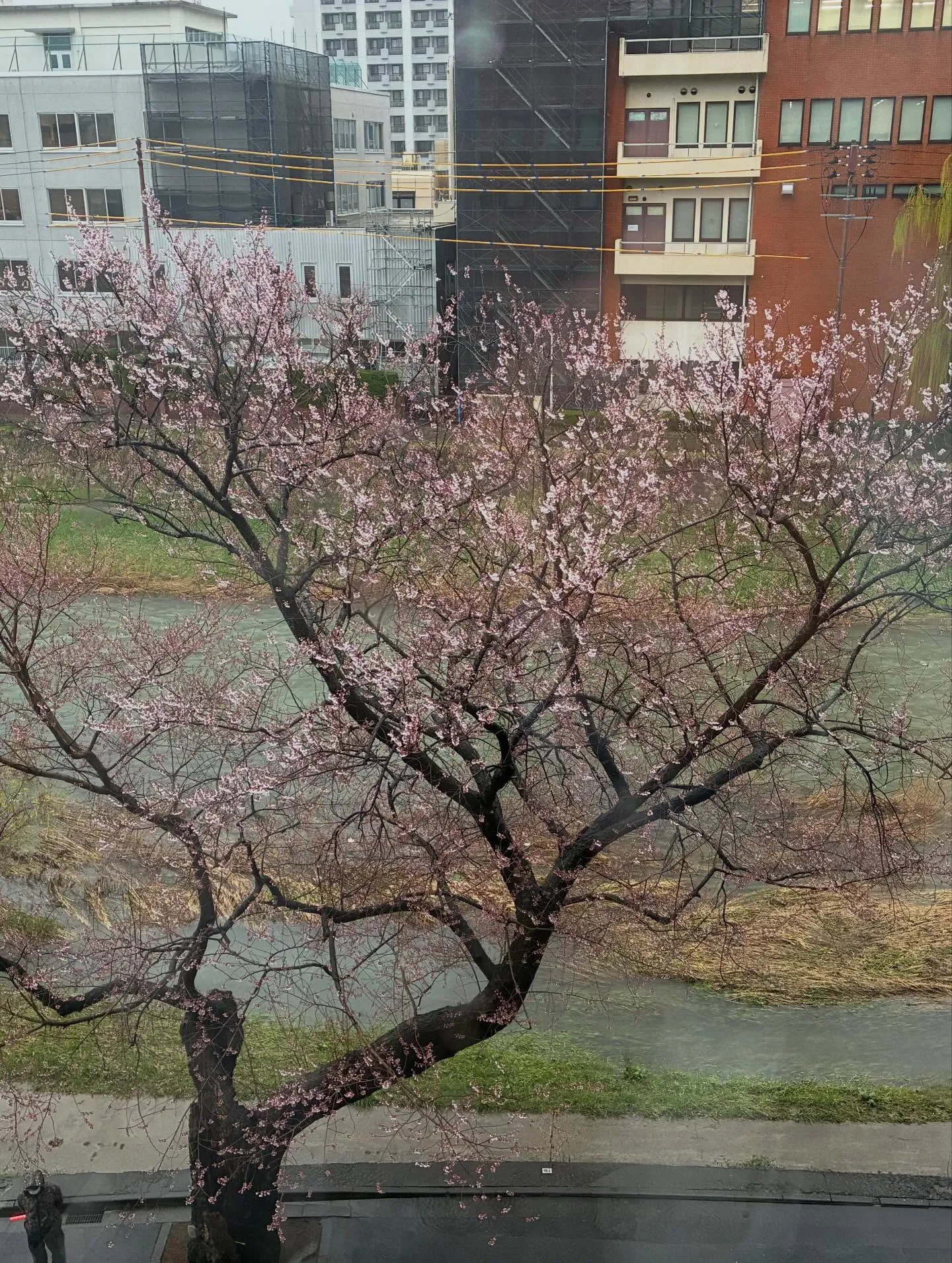 今日は朝イチで証券会社の方とちょっとした打ち合わせの後、お客...