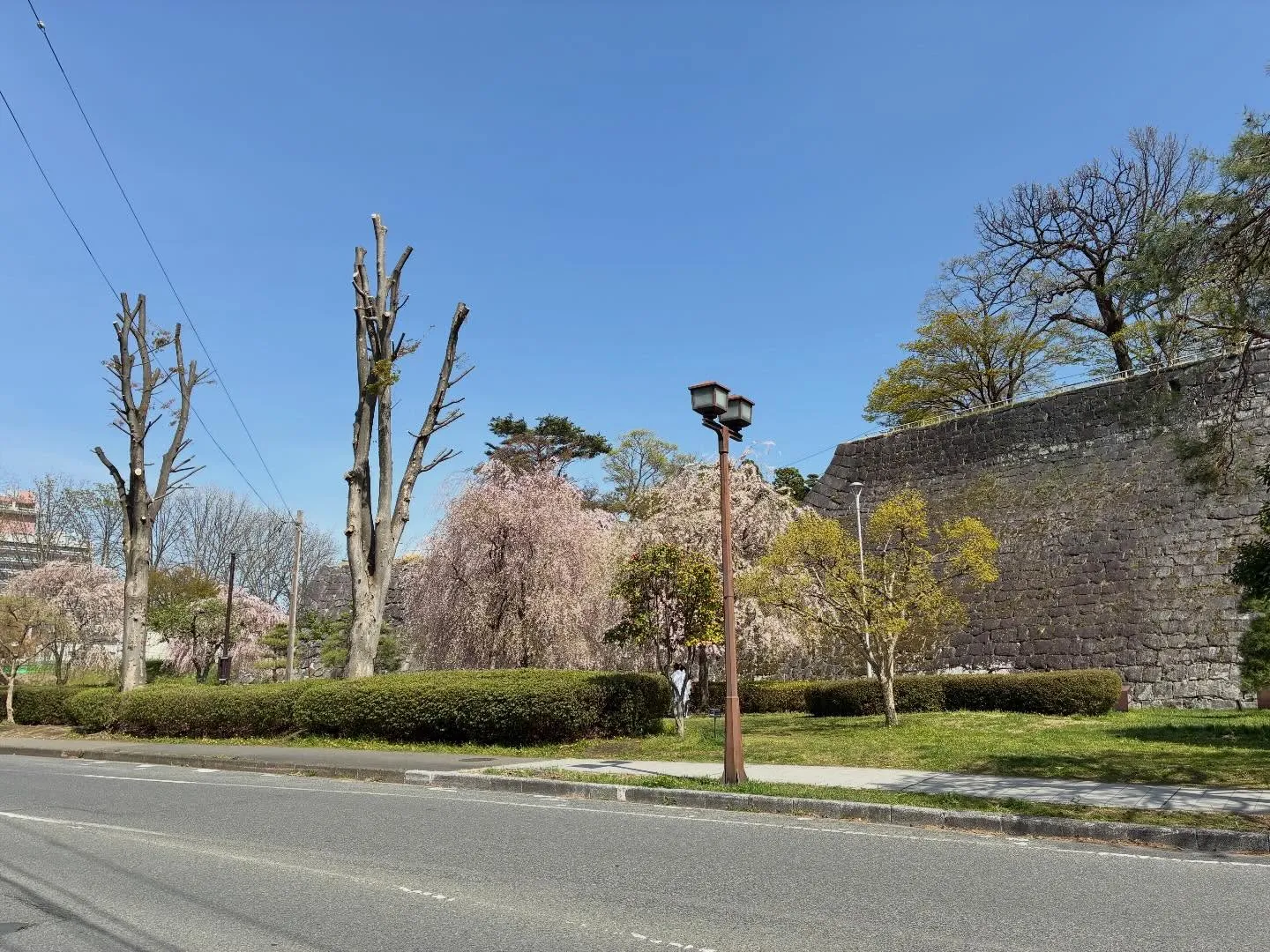 今日も午前中にご相談があったけど、ちょっと想定外の内容だった...