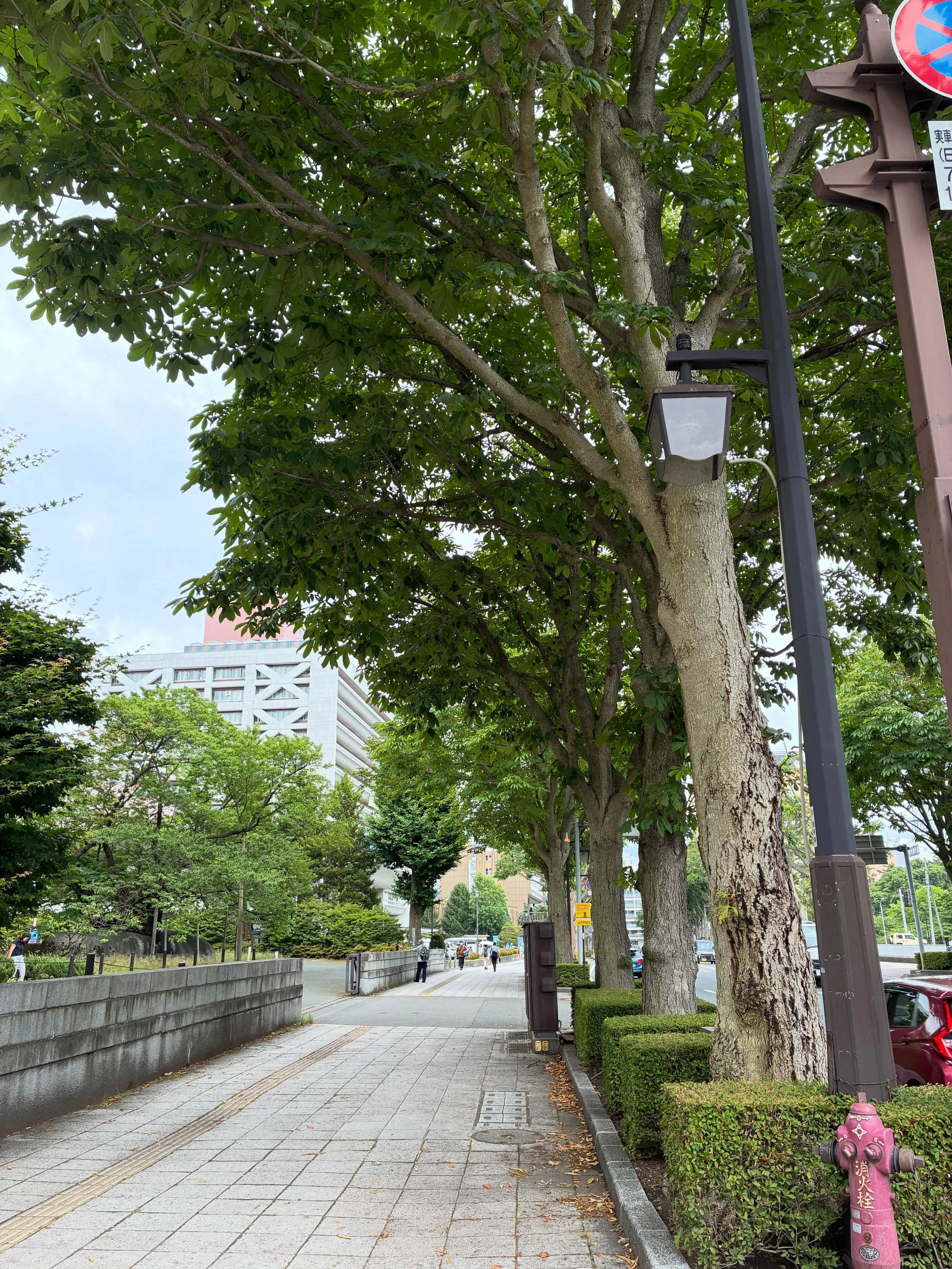 朝イチでお客様宅を訪問、委任状を受け取り、市役所と銀行を3つ...