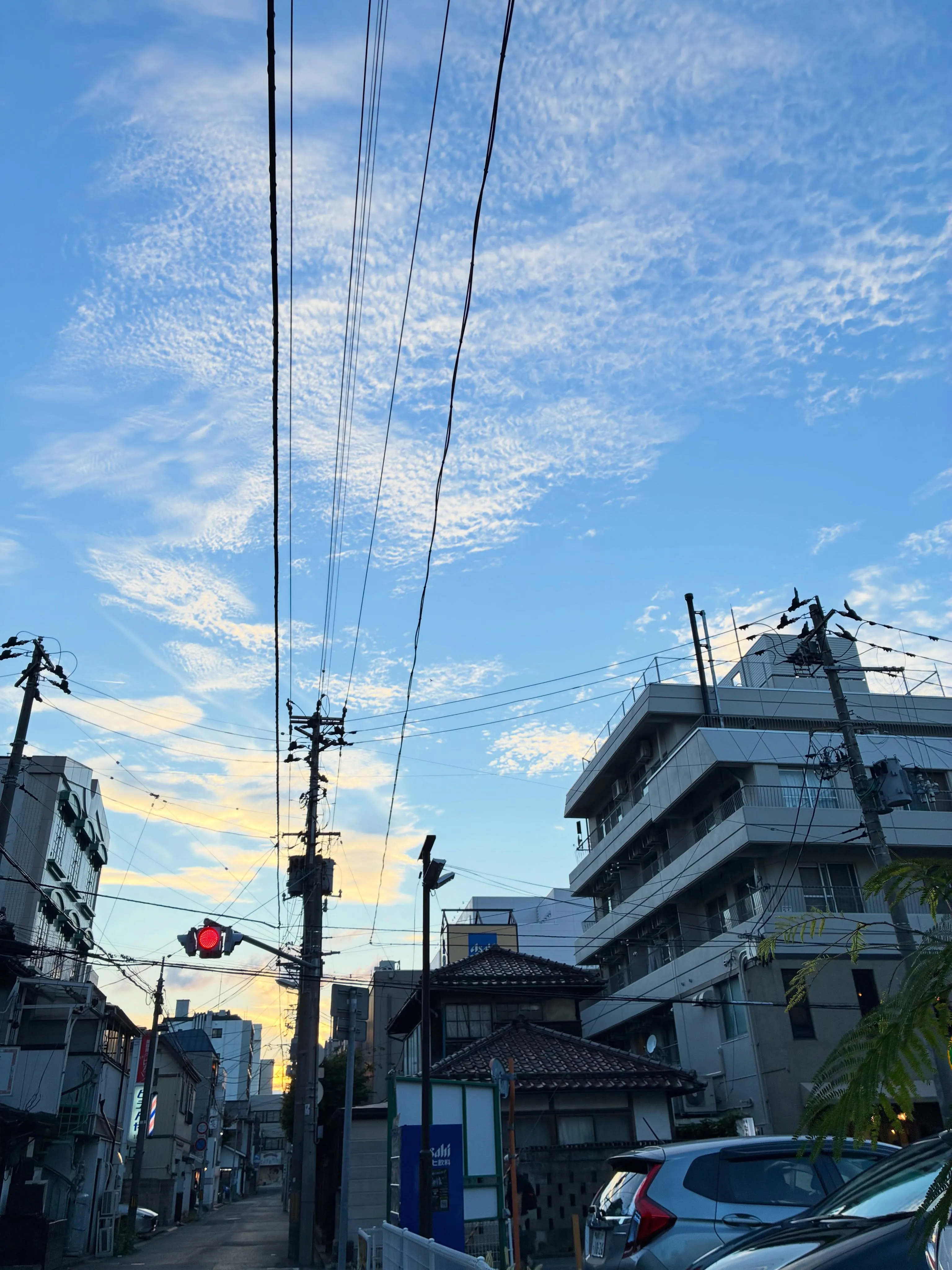 今日も朝イチで郵便局に行って、相続手続きを一件お願いしてから...